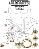 EP-4120-000 - Cablaggio completo per chitarra elettrica tipo Strato